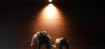 feel like home nepal