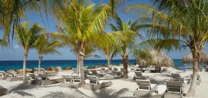 bed and bike curacao jan thiel
