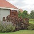 arusha planet lodge