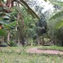 arusha planet lodge