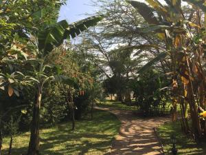 Arusha Planet Lodge,Arusha National Park>>Arusha,3 star