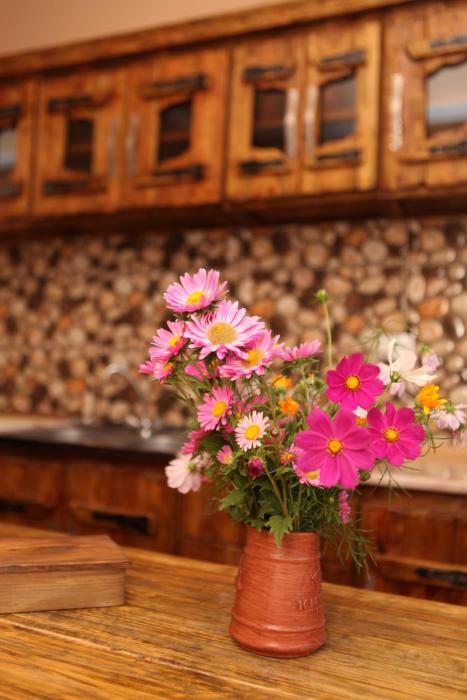 guest house dilijan orran