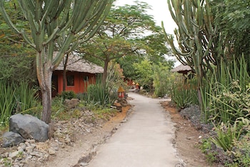 kia lodge