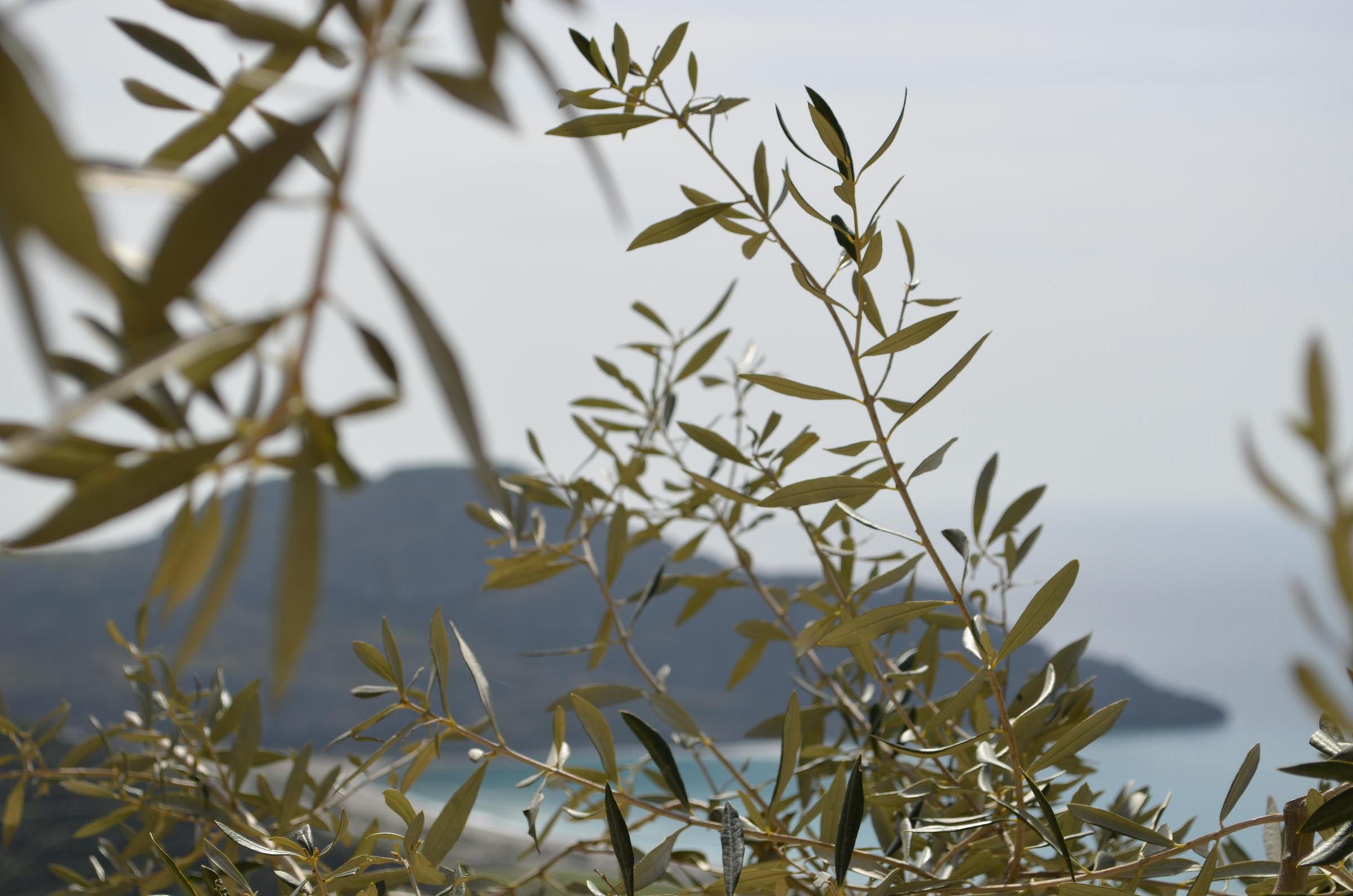 stefanos village