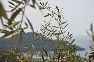 Stefanos Village,Crete>>Agios Vasileios,2 star