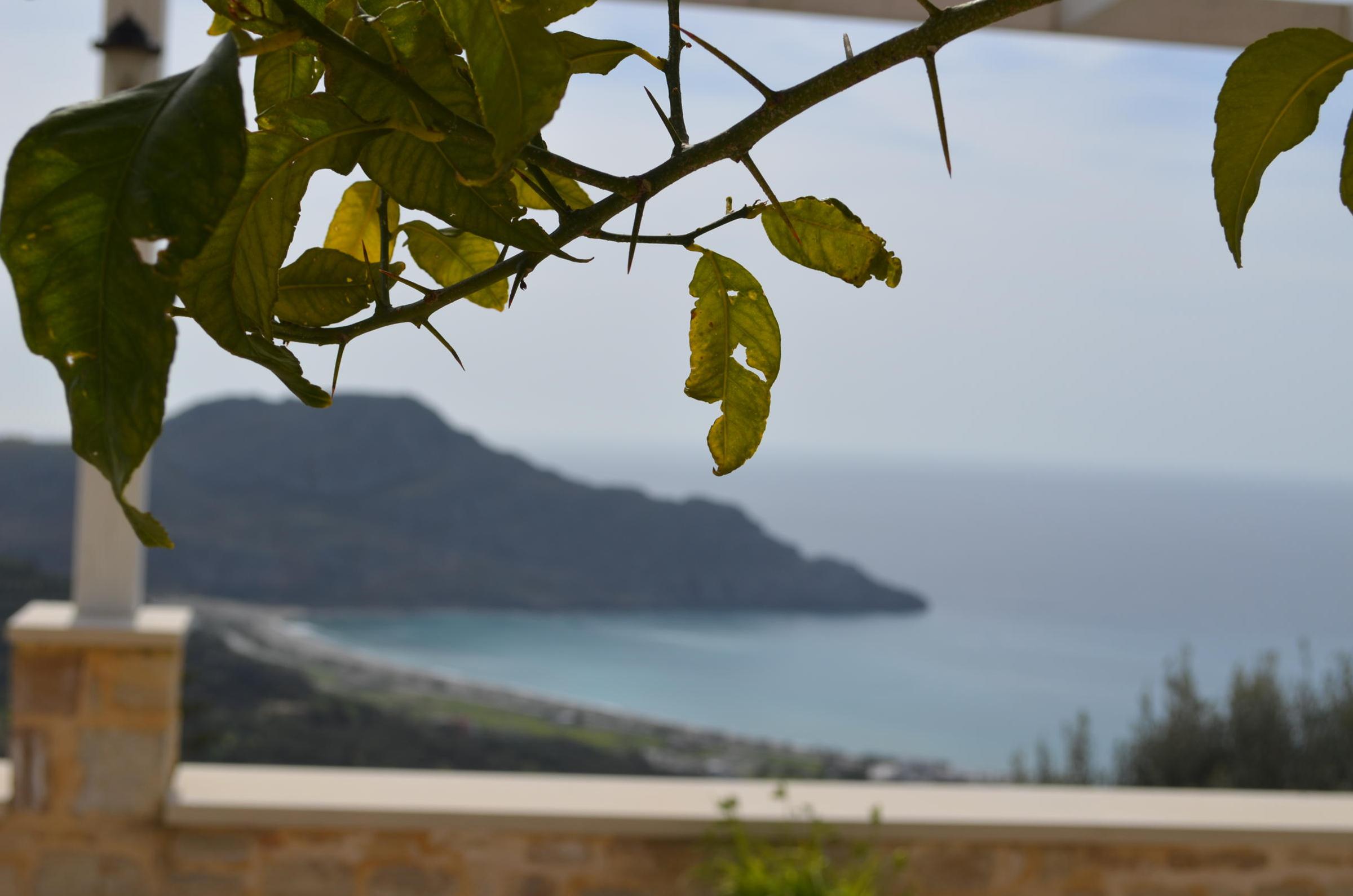 agios vasileios