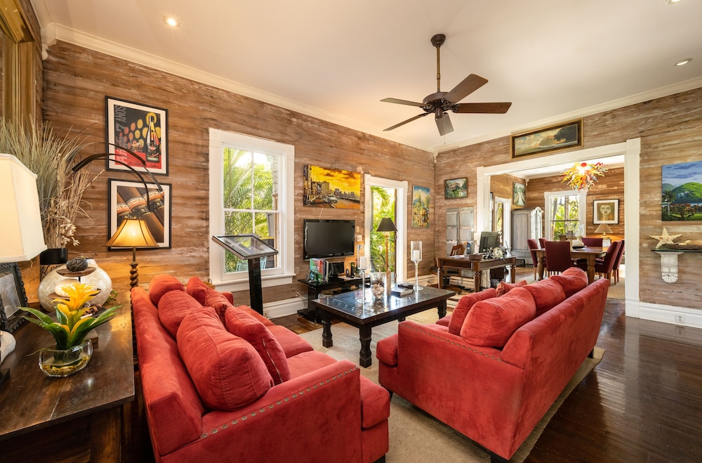 the mermaid and alligator