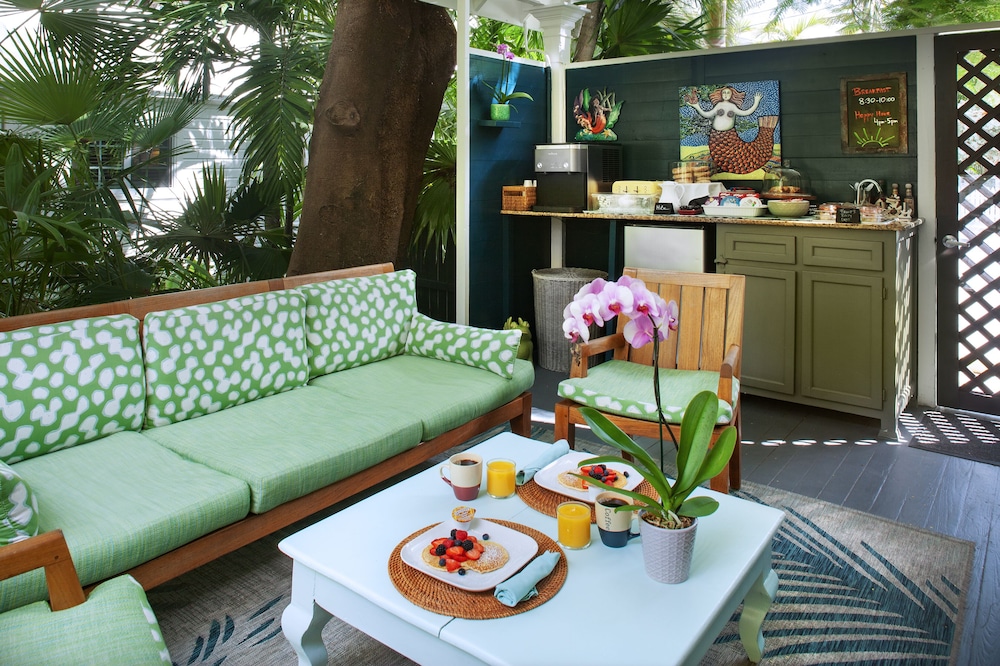 the mermaid and alligator