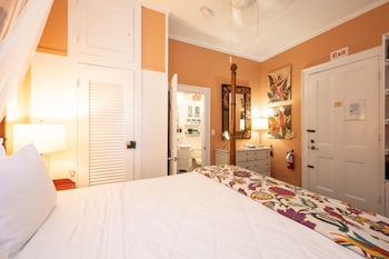 the mermaid and alligator