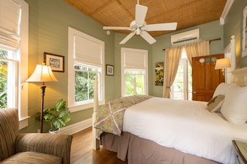 the mermaid and alligator