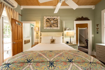 the mermaid and alligator