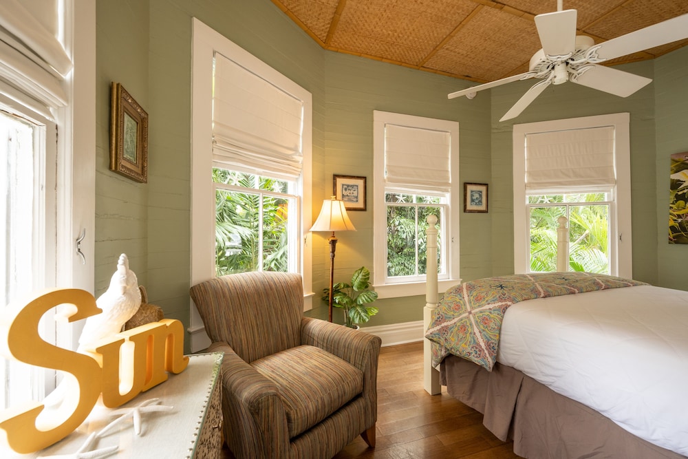 the mermaid and alligator