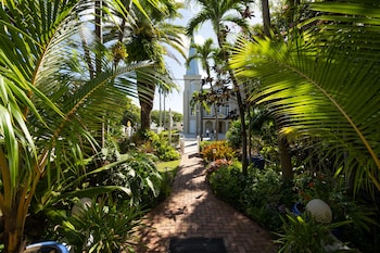 the mermaid and alligator