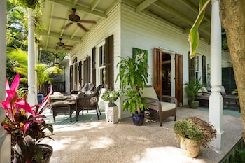 the mermaid and alligator