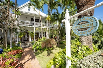 the mermaid and alligator