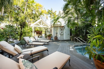 the mermaid and alligator