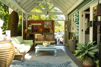 the mermaid and alligator