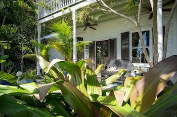 the mermaid and alligator