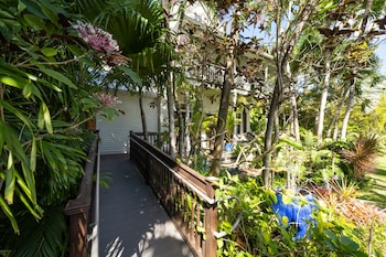 the mermaid and alligator