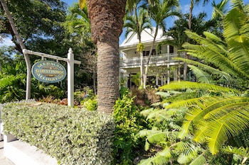 the mermaid and alligator