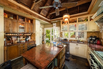 the mermaid and alligator