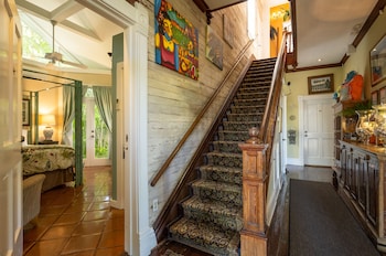 the mermaid and alligator