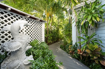 the mermaid and alligator