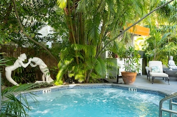 the mermaid and alligator