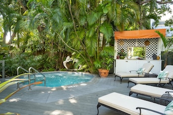 the mermaid and alligator