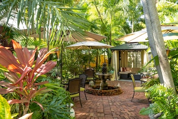 the mermaid and alligator