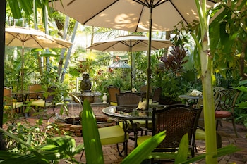 the mermaid and alligator