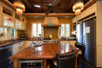 the mermaid and alligator