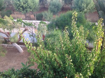 Petras Beach,Sitia>>Lasithi,1 star