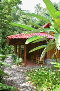 Esquinas Rainforest Lodge,Puntarenas>>Golfito,3 star