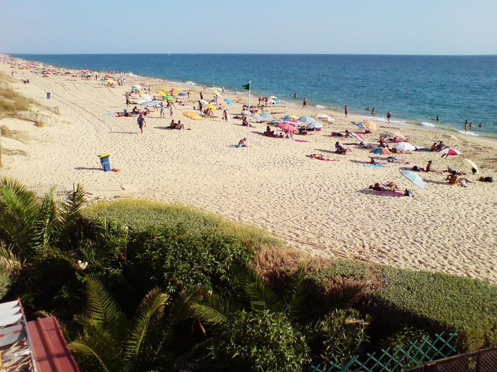 faro