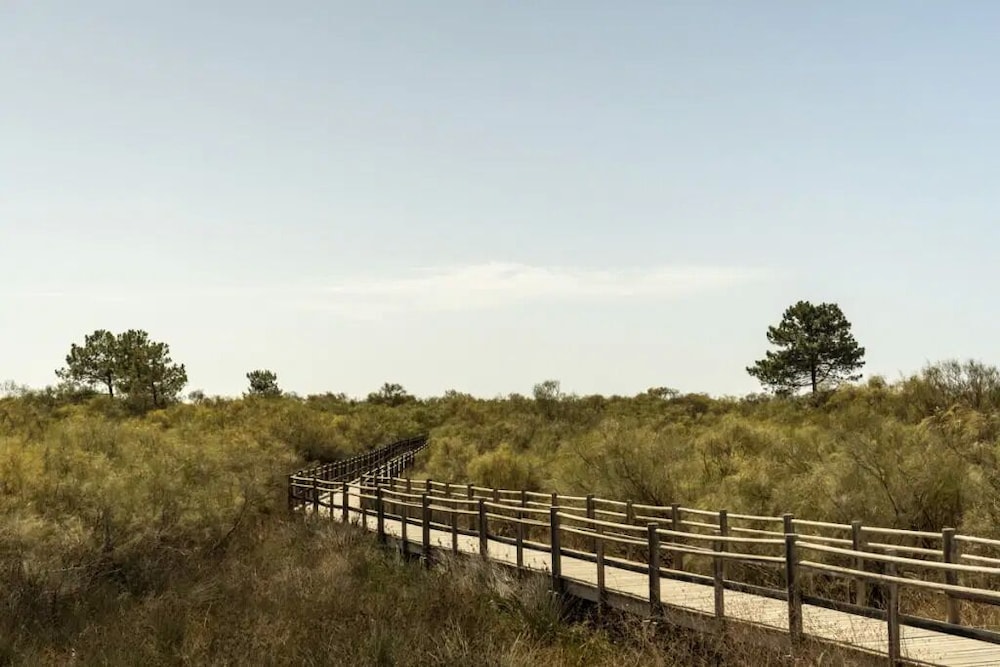 vila real santo antonio