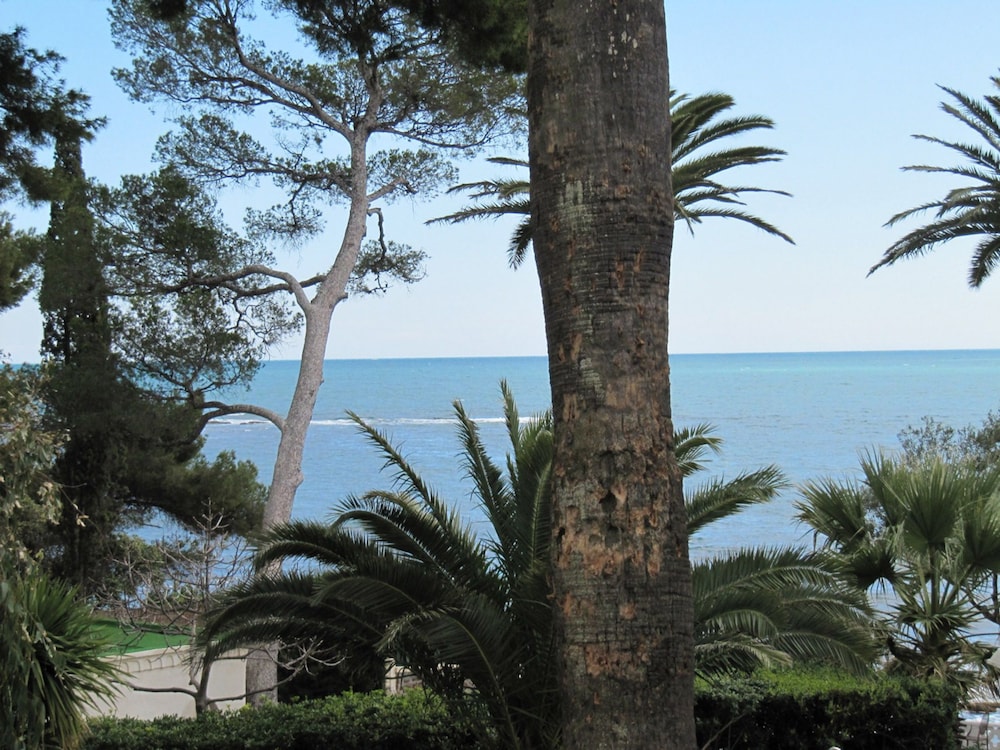 la villa mauresque