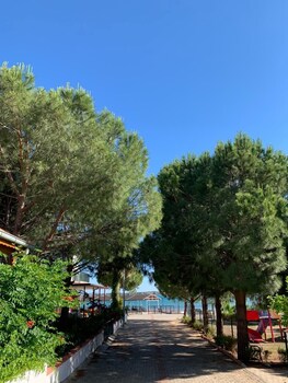 hotel fiesta beach didim