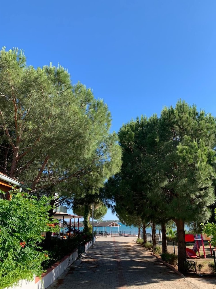 hotel fiesta beach didim