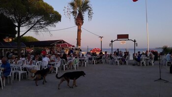 hotel fiesta beach didim