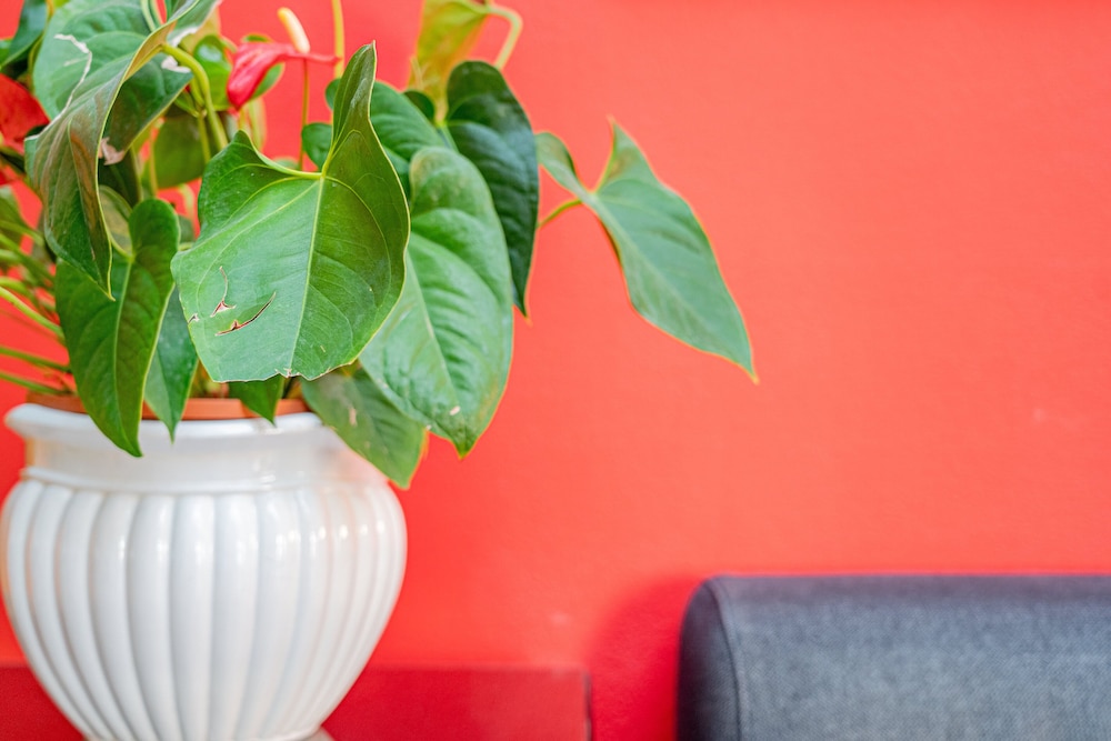 santa teresa di gallura