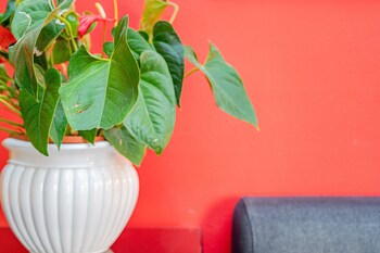 santa teresa di gallura