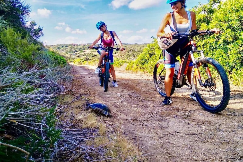 santa teresa di gallura