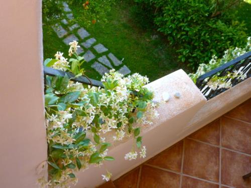 il borgo appartamenti by kasavacanze