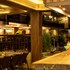 busy bee resort pokhara