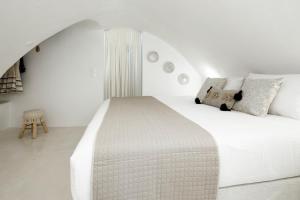 nano suites