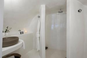 nano suites