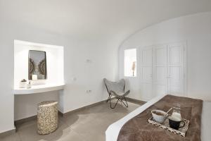 nano suites