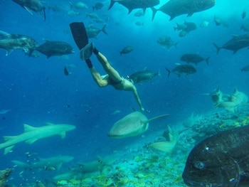 guraidhoo