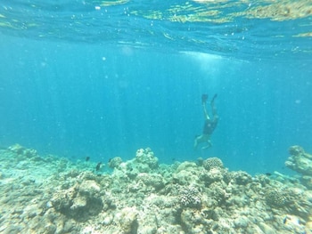guraidhoo